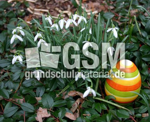 Schneegloeckchen-Osterei.jpg
